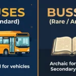 Side-by-side comparison graphic showing buses with one S as the standard plural for public transit vehicles and busses with two S's as an archaic word for kisses.
